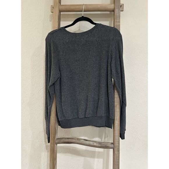 Wildfox “JUICE YOGA SPIN BAR VODKA FRIES I TRIED” Baggy Beach Sweatshirt Gray XS - Picture 4 of 7